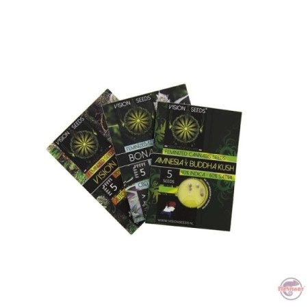 La Blanca Gold - Vision Seeds | Feminized Cannabis Seeds