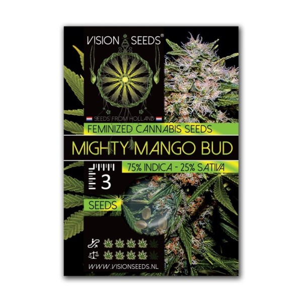 Mighty Mango Bud - Vision Seeds | Feminized