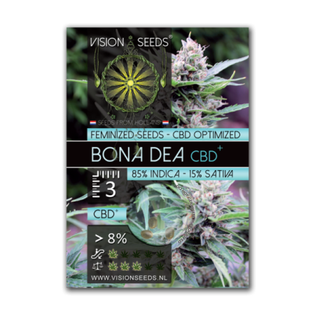 Bon Dea - Vision Seeds | CBD Cannabis Seeds