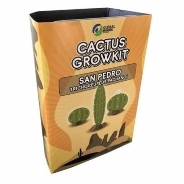 San Pedro Trichocereus Pachanoi  Cactus Grow Kit
