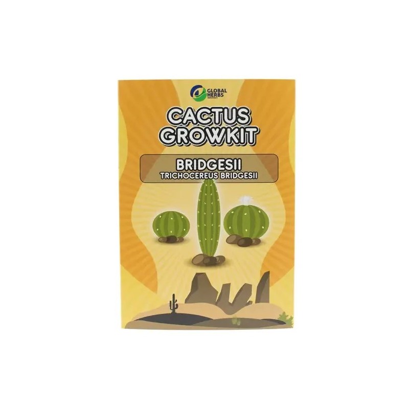 Bridgesii Trichocereus Bridgesii | Cactus Grow Kit