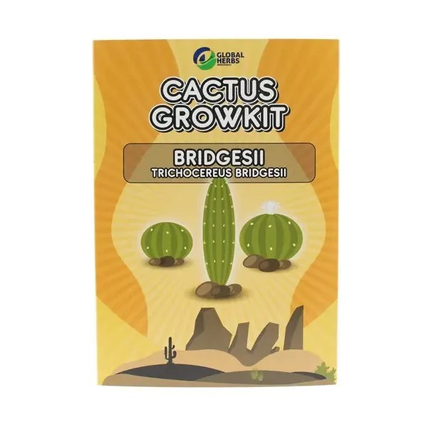Bridgesii Trichocereus Bridgesii  Cactus Grow Kit