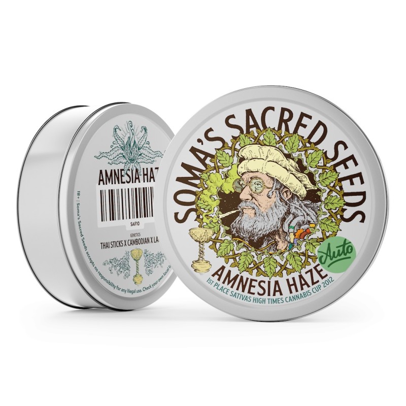 Amnesia Haze - Soma Sacred Seeds | Autoflower Cannabis Seeds Amnesia Haze - Soma Sacred Seeds | Autoflower Cannabis Seeds