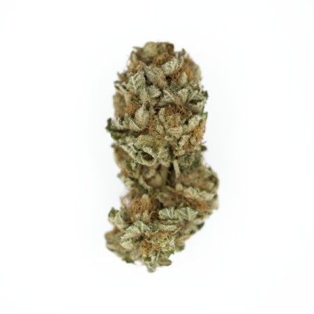 Royal Cookies - Royal Queen Seeds | Feminized Cannabis Seeds