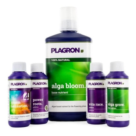 Top Grow Box 100% Natural - Plagron | Organic Kit