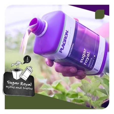 Sugar Royal - Plagron | Resin Enhancer