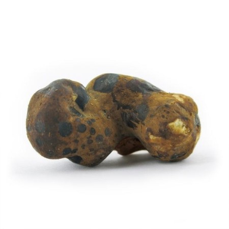 Fantasia Magic Truffles | Psilocybin Truffles | Mush Magic