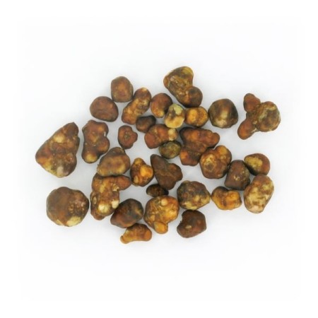 Fantasia Magic Truffles | Psilocybin Truffles | Mush Magic