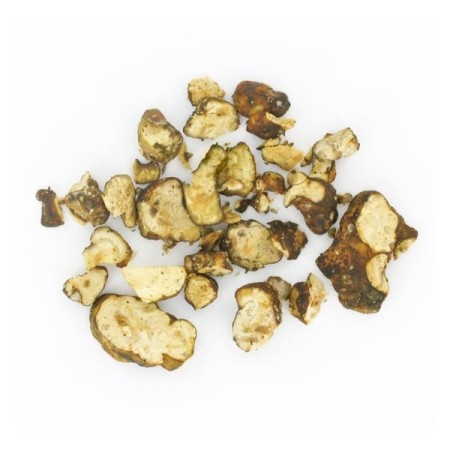 Hollandia Magic Truffles | Psilocybin Truffles | Mush Magic