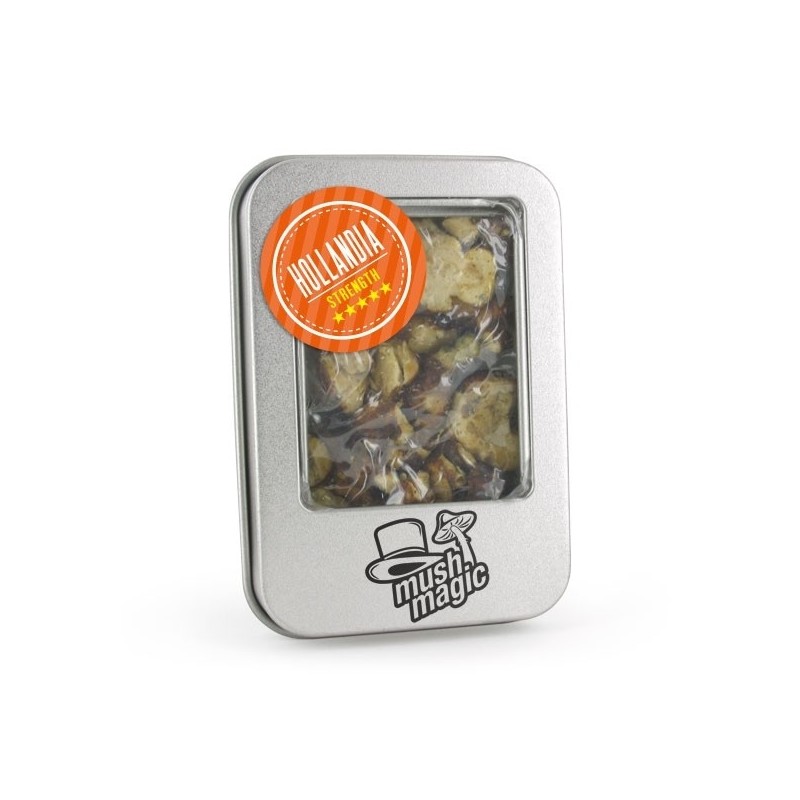 Hollandia Magic Truffles | Psilocybin Truffles | Mush Magic
