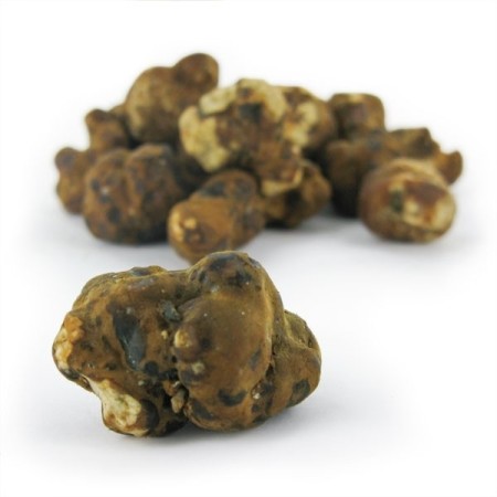 Mexicana Magic Truffles | Psilocybin Truffles | Mush Magic