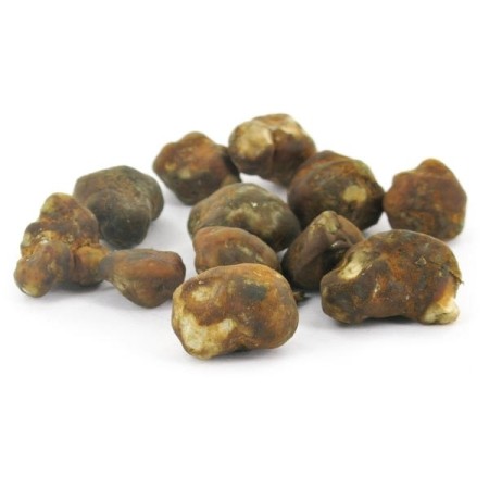 Mexicana Magic Truffles | Psilocybin Truffles | Mush Magic