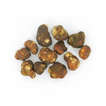 Mexicana Magic Truffles | Psilocybin Truffles | Mush Magic