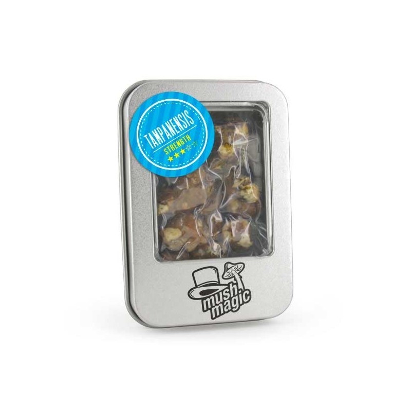 Tampanensis Magic Truffles | Psilocybin Truffles | Mush Magic