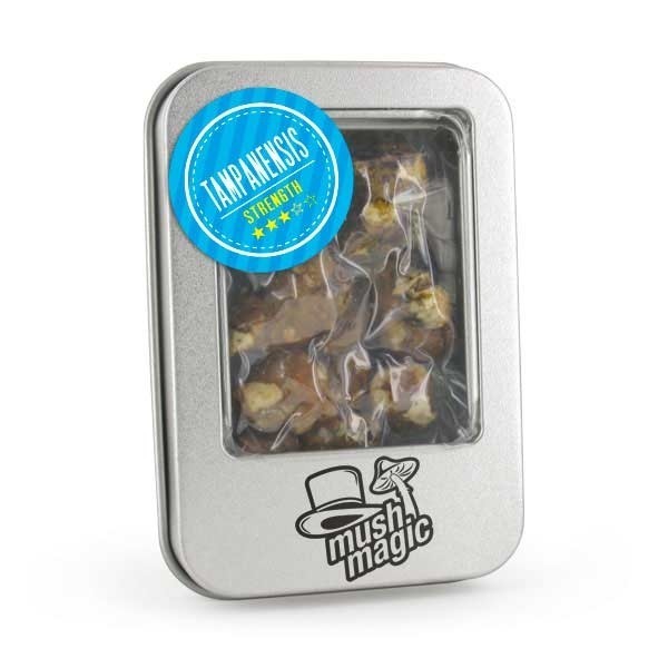 Tampanensis Magic Truffles - Mush Magic | 15g