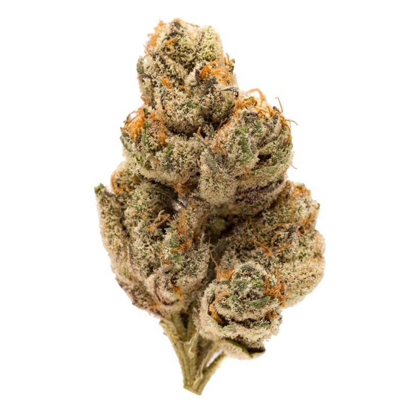 Dos-Si-Dos - The Bulldog Seeds | Feminized Cannabis Seeds Dos-Si-Dos - The Bulldog Seeds | Feminized Cannabis Seeds