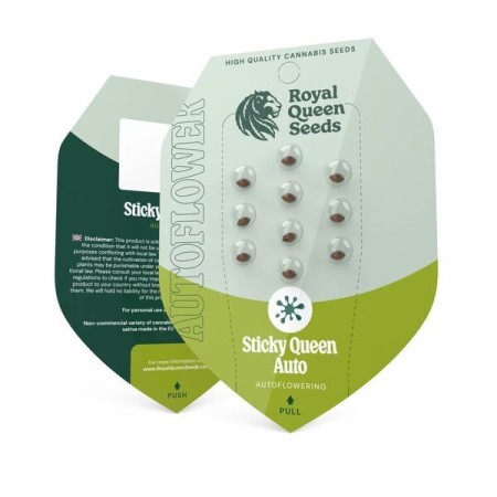 Sticky Queen - Royal Queen Seeds | Autoflowering Cannabis Seeds