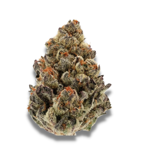 Bruce Banner - Growerschoice Seeds | Feminized