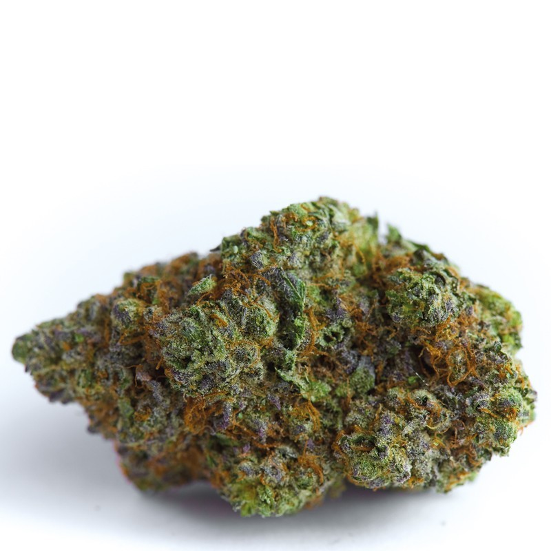 Blue Forest Berry - Growerschoice Seeds | Feminized