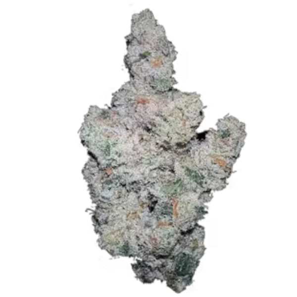 Superboof - Growerschoice Seeds | Feminized