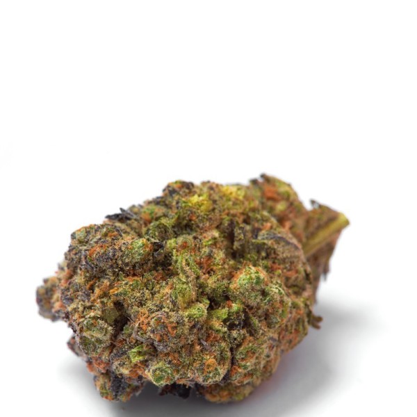 Wifi Punch - Growerschoice Seeds | Feminized