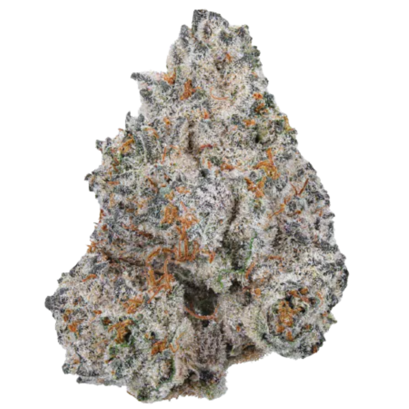 White Truffle Limited Edition - Growerschoice Seeds | Feminized