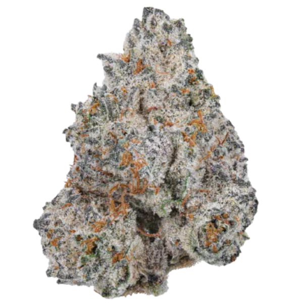 White Truffle Limited Edition - Growerschoice Seeds | Feminized