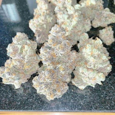 White Truffle Limited Edition - Growerschoice Seeds | Feminized