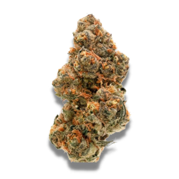 Weddingcake x Frosty Gelato - Growerschoice Seeds | Feminized