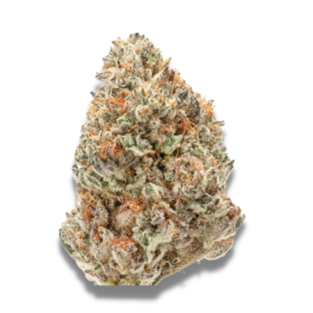 Watermelon Weddingcake - Growerschoice Seeds | Feminized