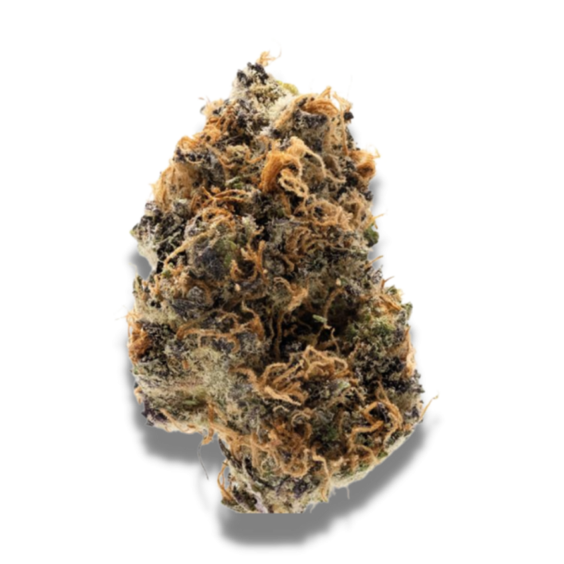 Watermelon Punch - Growerschoice Seeds | Feminized Cannabis Seeds Watermelon Punch - Growerschoice Seeds | Feminized Cannabis Seeds