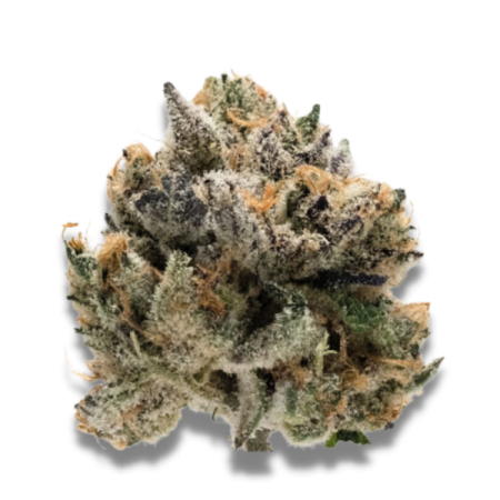Tropical Cookies - Growerschoice Seeds | Feminized Cannabis Seeds