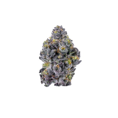 Triploid f1 Sticky wasabi - Growerschoice Seeds | Feminized