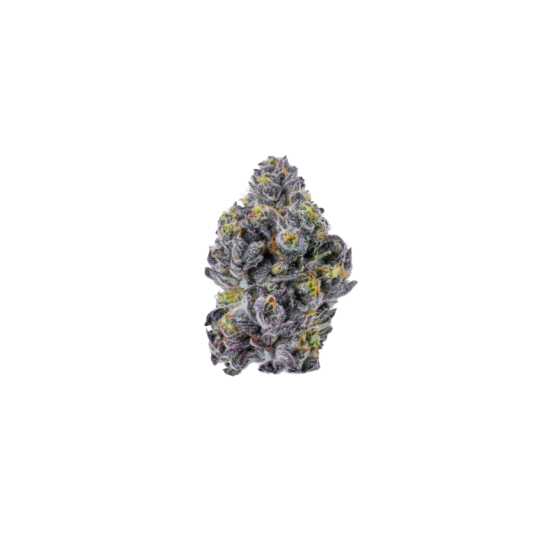 Triploid f1 Sticky wasabi - Growerschoice Seeds | Feminized Triploid f1 Sticky wasabi - Growerschoice Seeds | Feminized