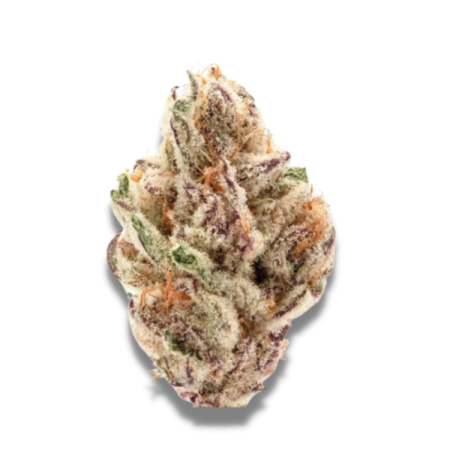 Sour Zkittlez - Growerschoice Seeds | Feminized Cannabis Seeds