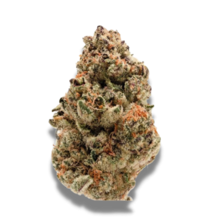 Rainbow Candy - Growerschoice Seeds | Feminized Cannabis Seeds