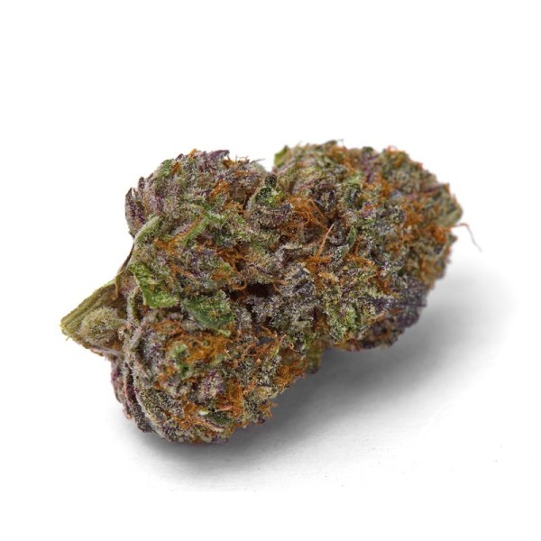 Purple Dosi Punch - Growerschoice Seeds | Feminized