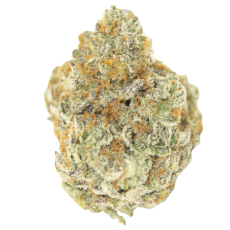 Permanent WhiteMarker - Growerschoice Seeds | Feminized