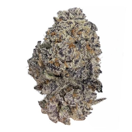 Original Oreoz - Growerschoice Seeds | Feminized Cannabis Seeds