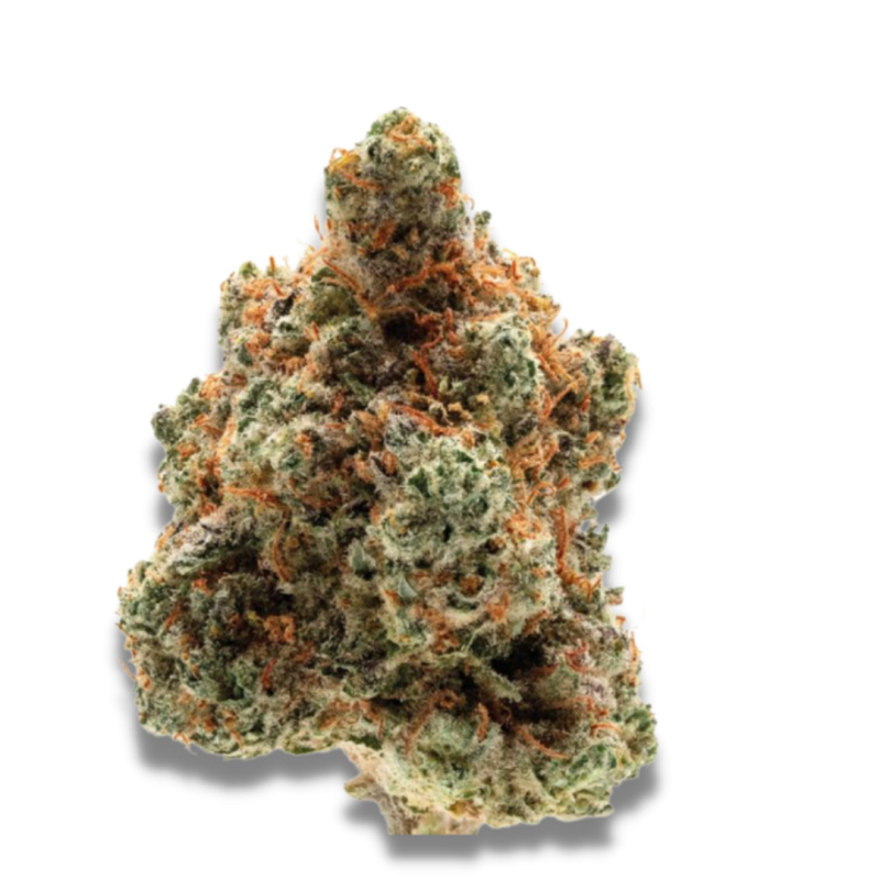 Monkey Glue - Growerschoice Seeds | Feminized Cannabis Seeds Monkey Glue - Growerschoice Seeds | Feminized Cannabis Seeds