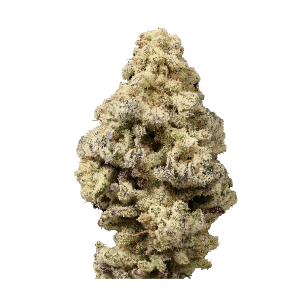 Mac n Cheese Limited Edition - Growerschoice Seeds | Feminized