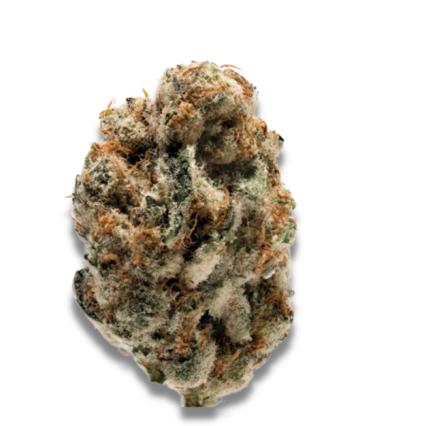 KO Kush - Growerschoice Seeds | Feminized