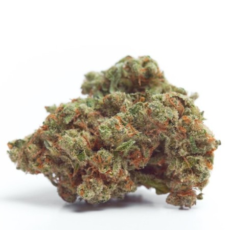 Gorilla Cookies - Growerschoice Seeds | Feminized Cannabis Seeds