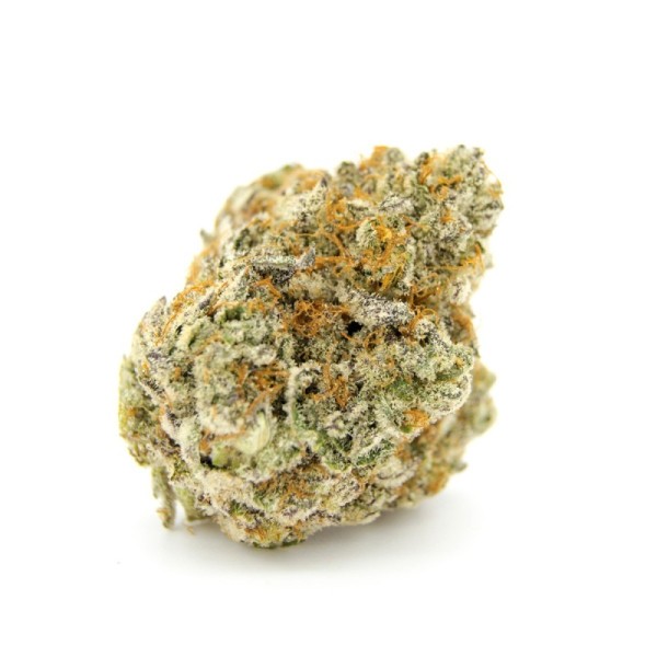 Forbidden Runtz - Growerschoice Seeds | Feminized