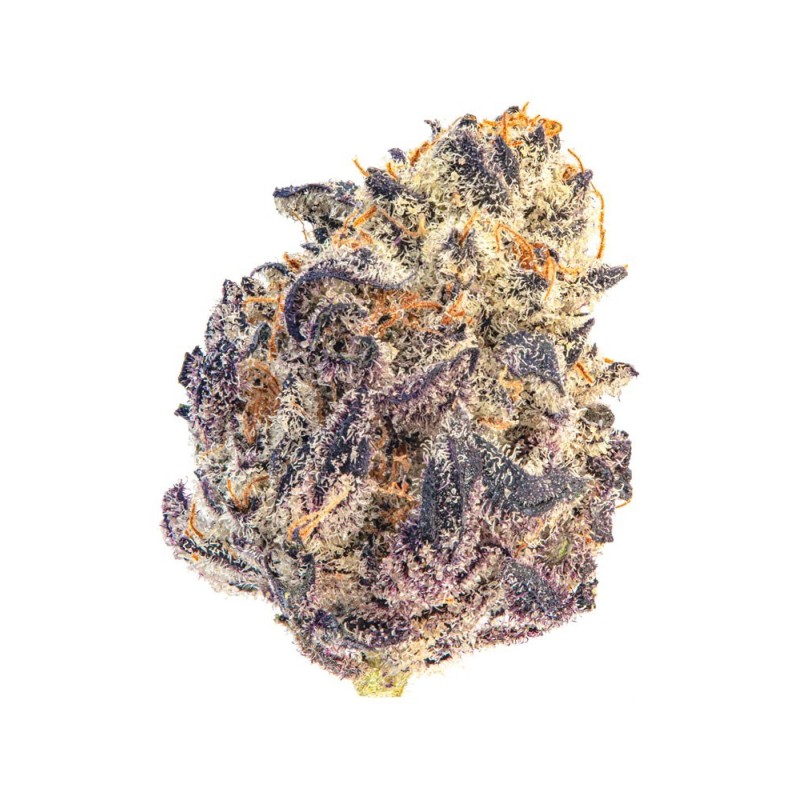 Cherry Mac Muffin - Growerschoice Seeds | Feminized Cherry Mac Muffin - Growerschoice Seeds | Feminized