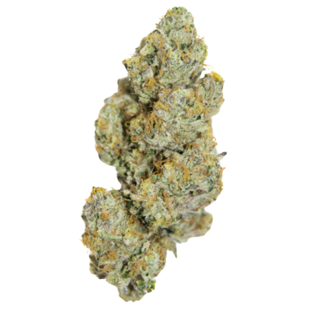 Cherry 7up - Growerschoice Seeds | Autoflowering Cannabis Seeds