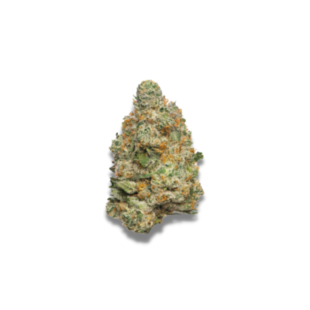 Apple Fritter - Growerschoice Seeds | Autoflowering