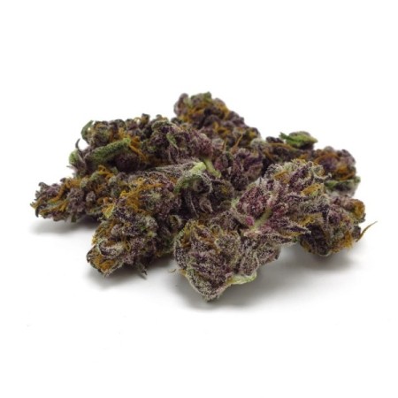 Blue Diesel - Growerschoice Seeds | Autoflowering Cannabis Seeds