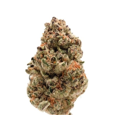 Rainbow Candy - Growerschoice Seeds | Autoflowering Cannabis Seeds