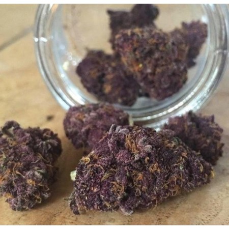 Red Jack - Growerschoice Seeds | Autoflowering Cannabis Seeds